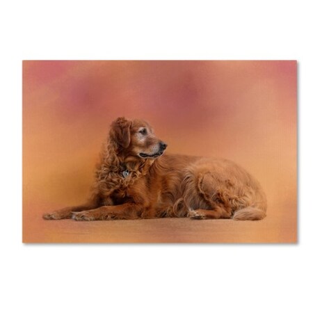 Jai Johnson 'Golden Retriever In The Setting Sun' Canvas Art,12x19